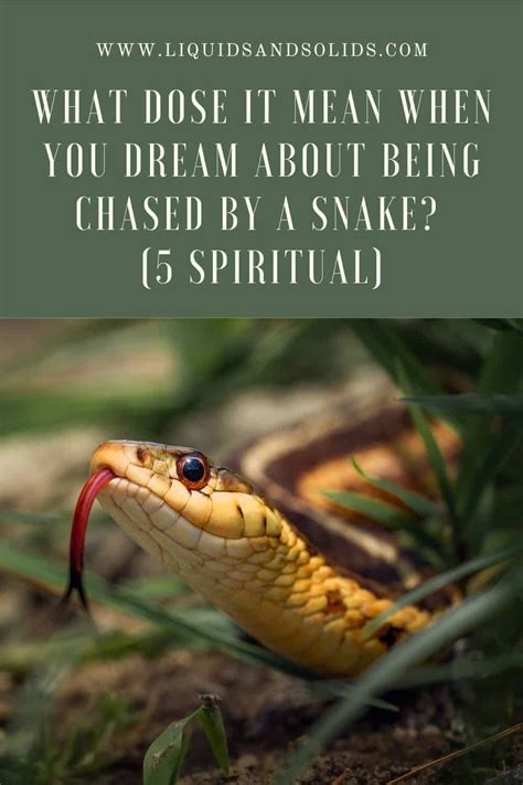 Examining the Role of the Dreamer in Pursued by Reptile Visions