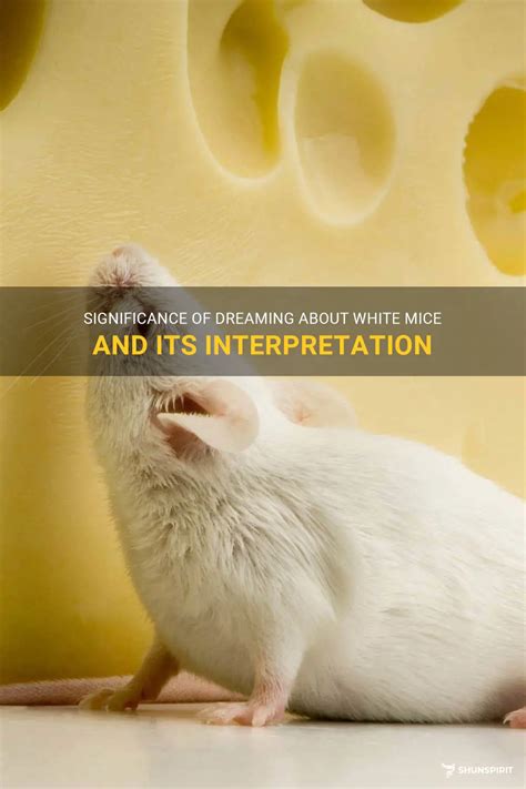 Examining the Significance of Mouse Representation: From Apprehension to Versatility