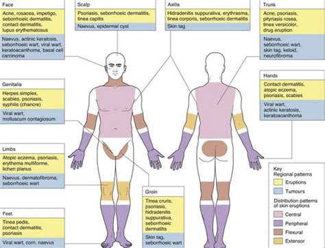 Examining the Significance of Skin Lesions in Dreams: An Informative Handbook for Psychotherapists