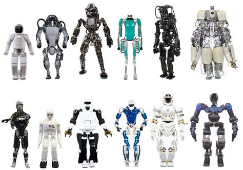 Expanding the Boundaries: The Rise of Humanoid Robots