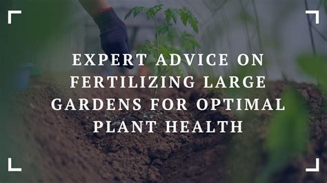 Expert Advice: Ensuring Optimal Plant Health in Your Horticultural Center