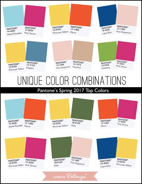 Explore Unique Color Combinations for Artistic Expression