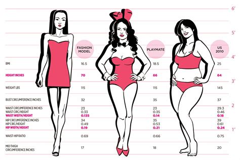 Explore her body measurements and fashion preferences