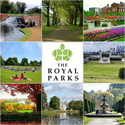 Explore the Royal Parks: Discover a Tranquil Oasis in the Heart of the City