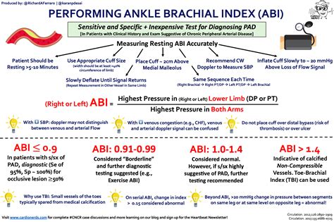 Exploring Abi Rose's Body Measurements and Figure