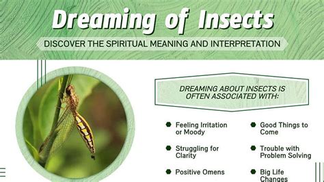 Exploring Bug and Insect Dreams: A Detailed Overview