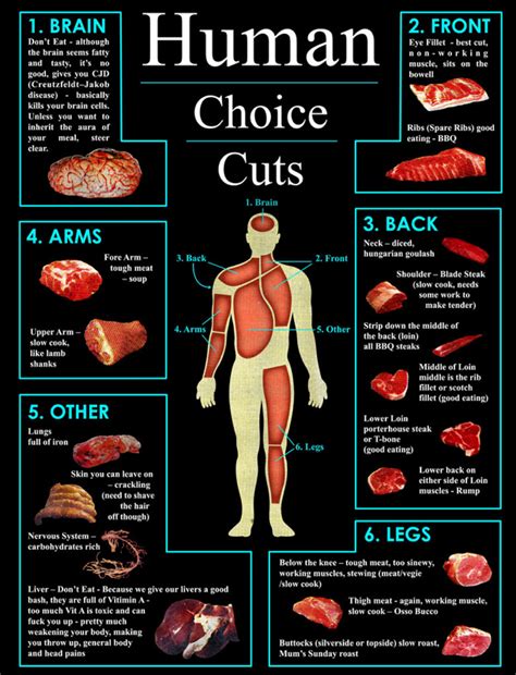 Exploring Cultural Influences: How Various Societies Perceive Fantasies of Cannibalism