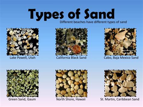 Exploring Different Types of Mobile Sands: A Journey from Deserts to Beaches