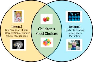 Exploring External Influences: Examining the Role of Outside Factors in Dreams of Partner Neglect