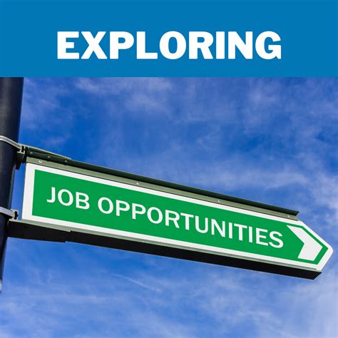 Exploring Job Market Opportunities