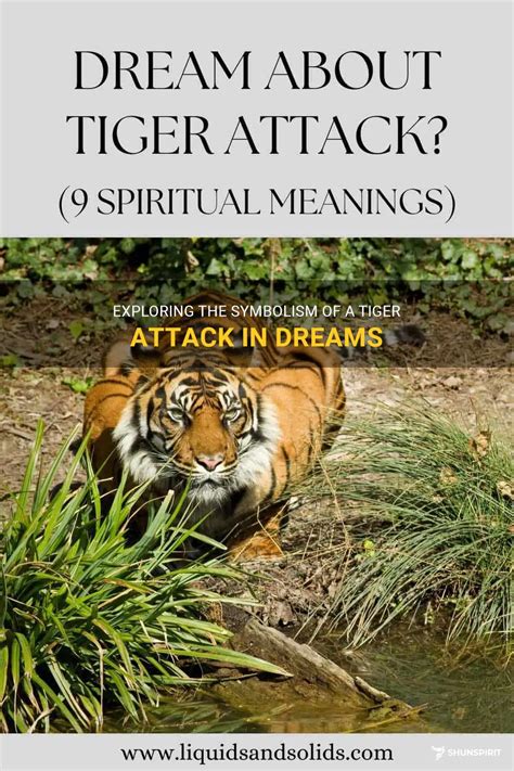 Exploring Meanings of Animal Attacks in Dreams