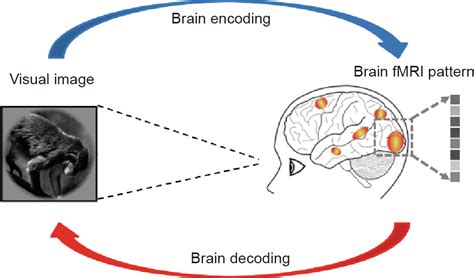 Exploring Methods for Analyzing and Decoding Your Vision of Being Thrown From a Window