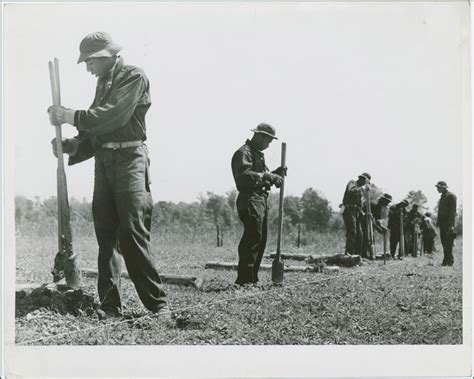 Exploring Modern Growing and Preservation Efforts