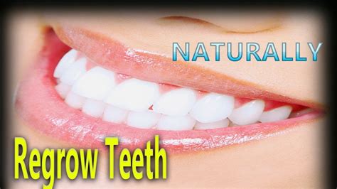 Exploring Natural Methods to Stimulate Tooth Regrowth