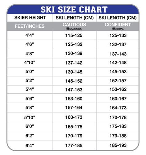 Exploring Sunny Skies' Height and Body Measurements