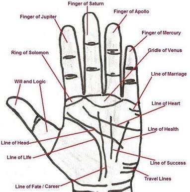 Exploring Symbolism: Deciphering the Significance of Moles in Various Areas of the Hand