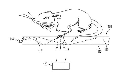 Exploring Techniques to Gain Self-Insight through Analyzing Rodent Reveries