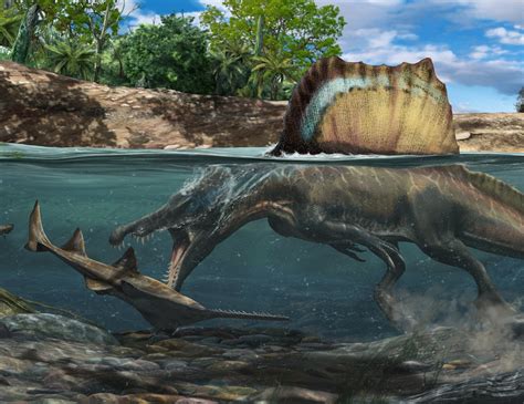 Exploring the Anatomy of Marine Dinosaurs: Adapting to an Subaqueous Environment