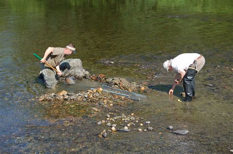 Exploring the Best Locations for Gold Prospecting: From Waterways to Mountainous Terrain