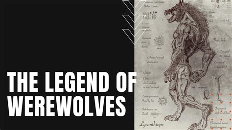 Exploring the Captivating Origins of Werewolf Legends