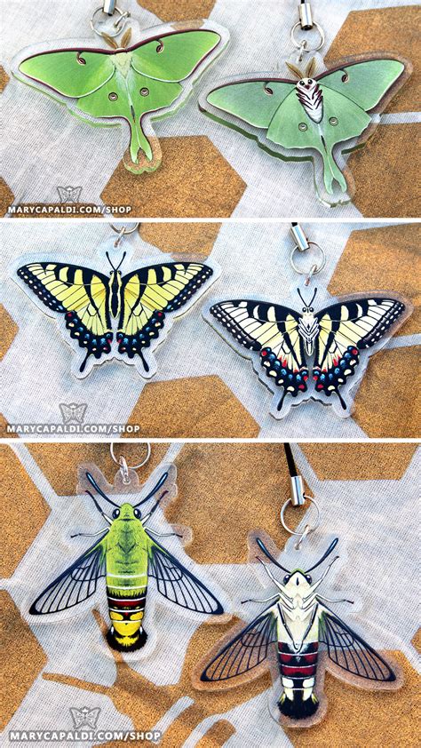 Exploring the Charm of Ebony Lepidoptera in Artistic and Literary Works