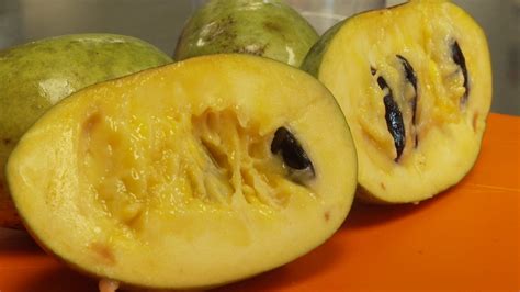 Exploring the Charms of the Enchanting Pawpaw Fruit