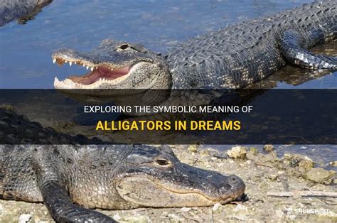 Exploring the Collective Unconscious: Alligators as Shared Symbolic Entities in Dreams