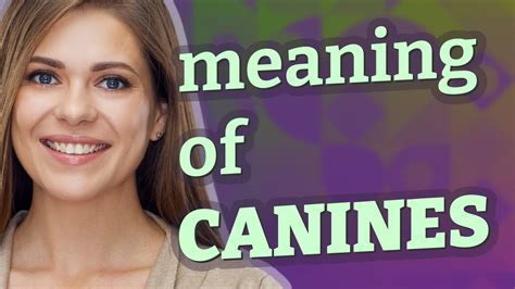 Exploring the Cultural Significance of Canine Offspring Dream Interpretations