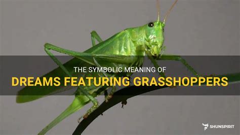 Exploring the Cultural Significance of Grasshoppers in Dreams