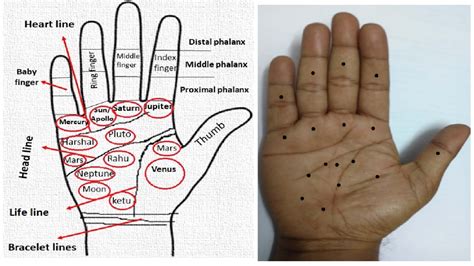 Exploring the Cultural and Historical Significance of Moles on the Hand