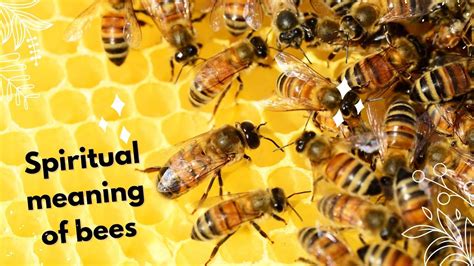 Exploring the Cultural and Mythological Significance of Bees