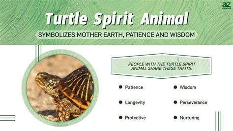 Exploring the Deep Waters of the Enigmatic Serpentine Turtle: Understanding the Symbolic Significance