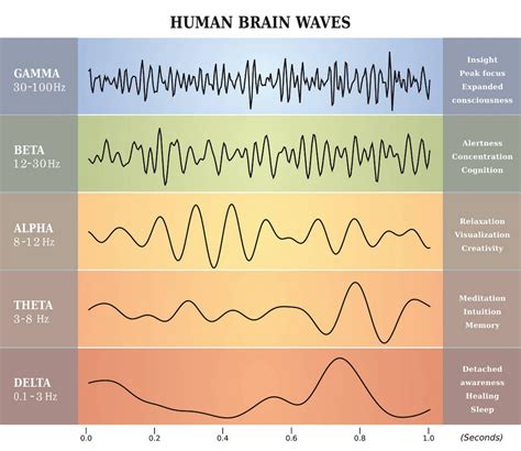 Exploring the Different Categories and Frequencies of Auditory Perception during Sleep