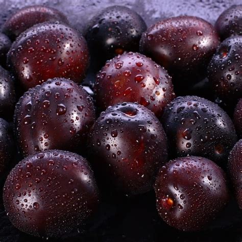 Exploring the Diverse Assortment of Black Plum Varieties Across the Globe