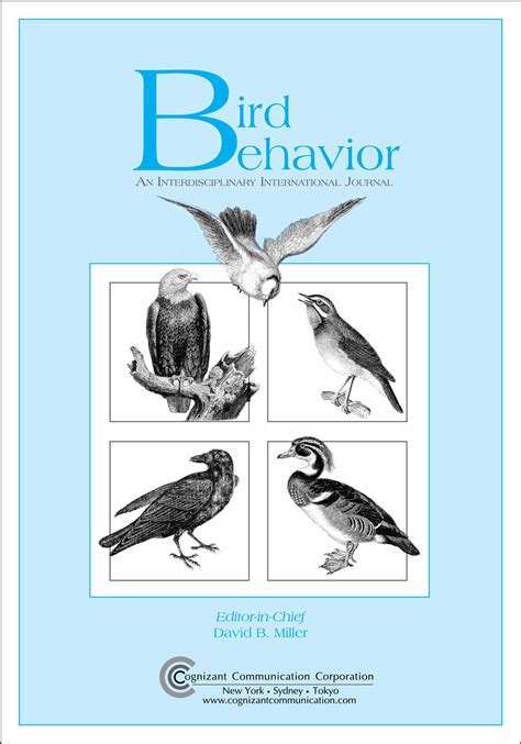 Exploring the Emotional and Psychological Context Surrounding Consumption of Avian Nutrition