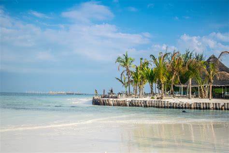 Exploring the Enchanting Coastlines of Zanzibar: A Visual Retreat