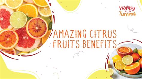 Exploring the Enchanting World of Harvesting Zesty Citrus Fruits