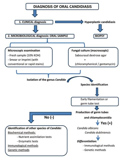 Exploring the Factors, Indications, and Management of Candidiasis