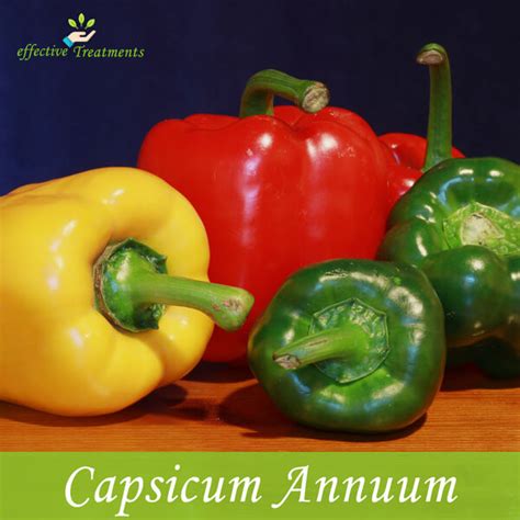 Exploring the Health Benefits of Consuming Capsicum annum