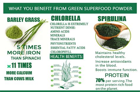 Exploring the Health Benefits of Nature's Creamy Green Superfood