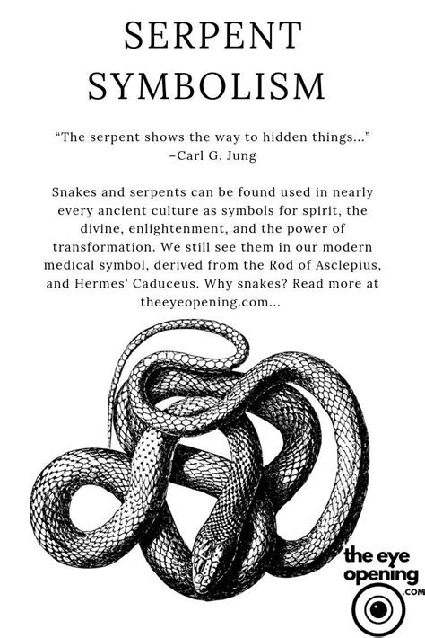 Exploring the Hidden Meanings of Surreal Dreams Involving Immersed Serpents