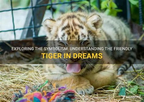 Exploring the Human Connection with Tigers in Dreams