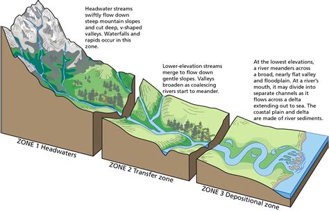 Exploring the Intricate Connections Within Fluid Ecosystems Along a River's Course