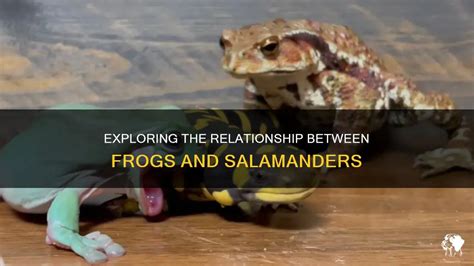 Exploring the Intriguing Relationship Between Reptiles and Metamorphosis in the Realm of Dream Analysis