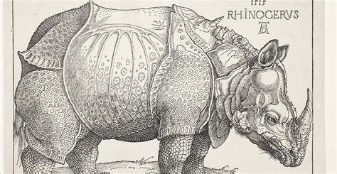 Exploring the Legacy and Importance of Rhinoceros in History