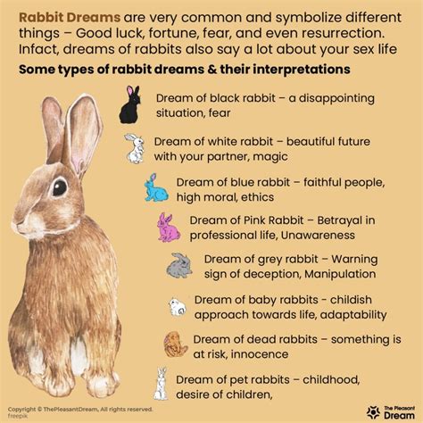 Exploring the Meaning of a Dream Involving a Slain Bunny