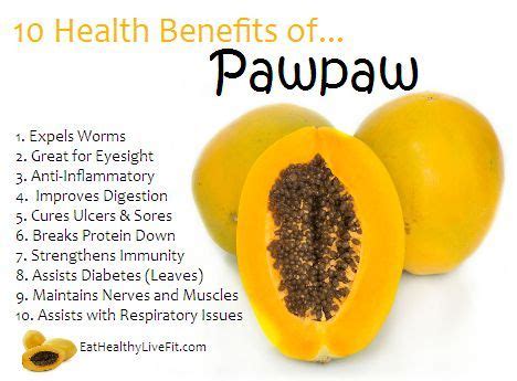 Exploring the Medicinal Properties of Pawpaw Fruit