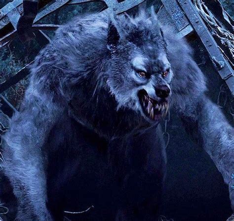 Exploring the Mythology and Folklore Surrounding Lycanthropy