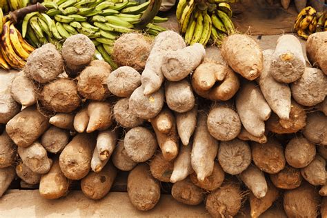 Exploring the Nutritional Advantages of Sunshine Yam