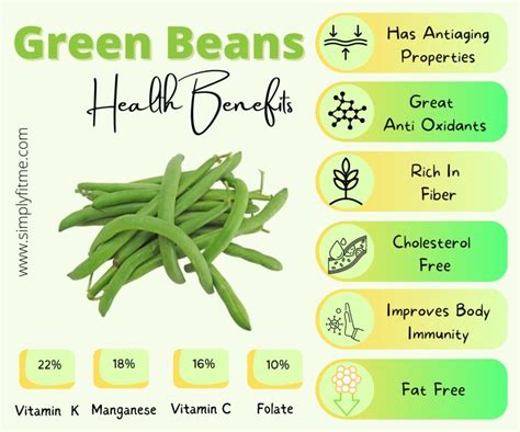 Exploring the Nutritional Benefits of Snap Beans